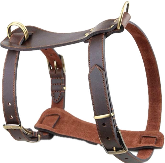 Premium Leather Dog Harness